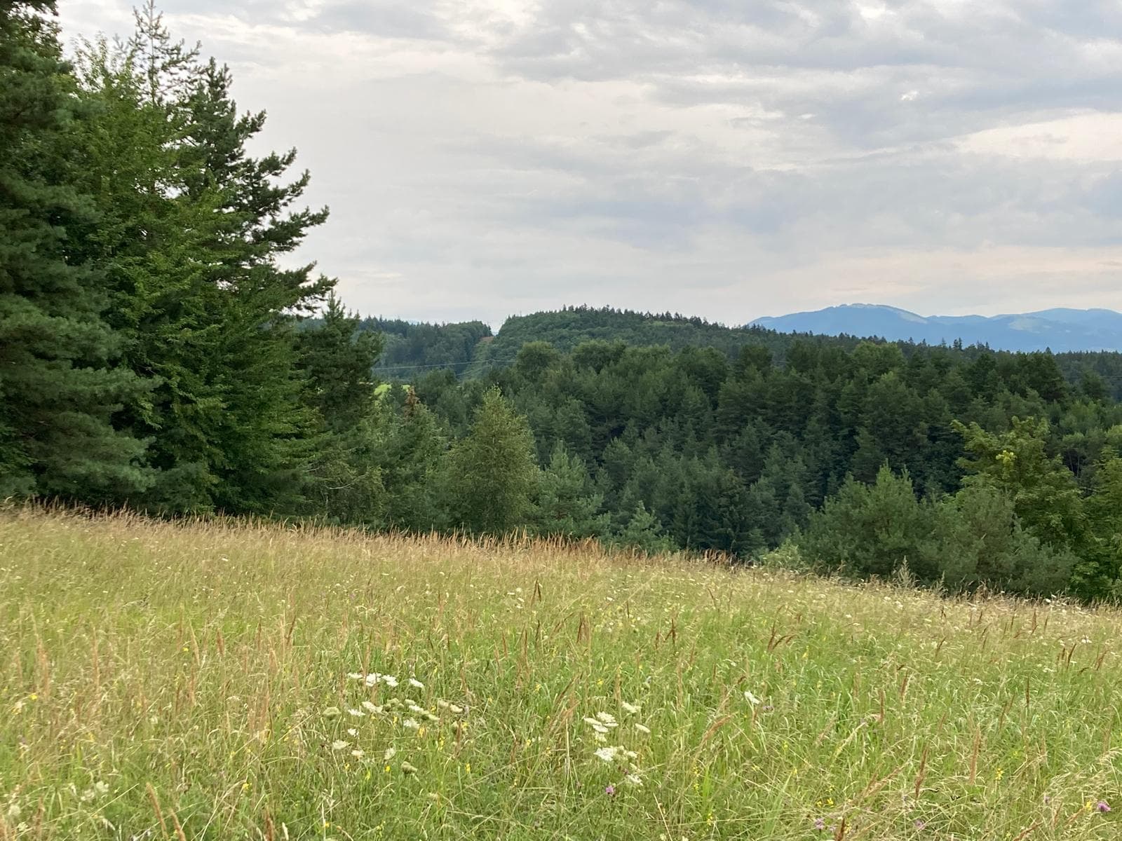 Predaj pozemku na bývanie, Banská Bystrica - Bild 1