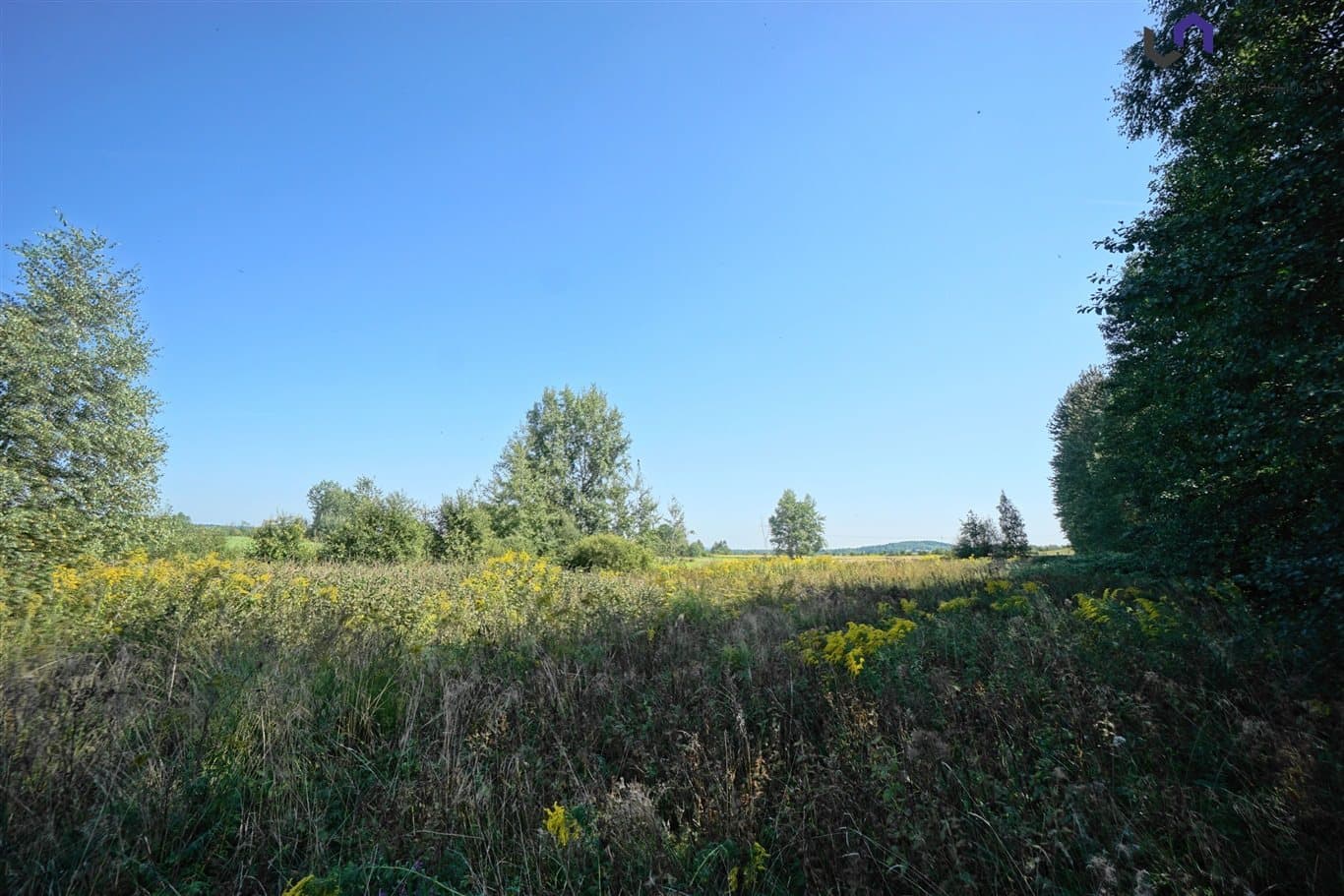 Fotografie nemovitosti