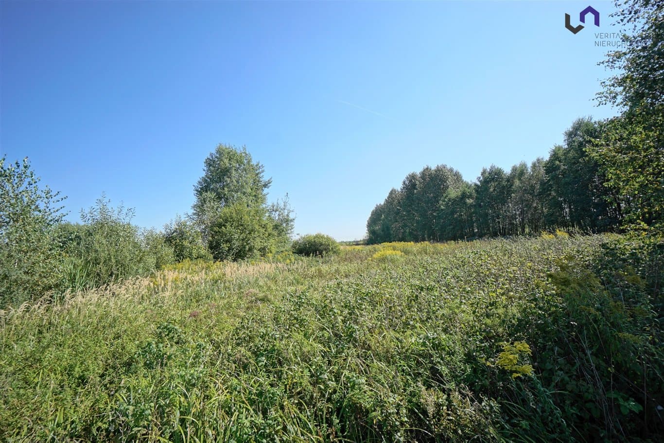 Fotografie nemovitosti