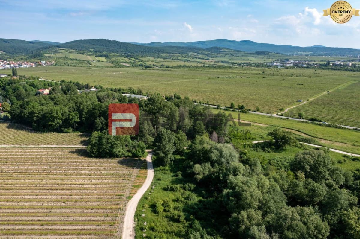 Fotografie nemovitosti