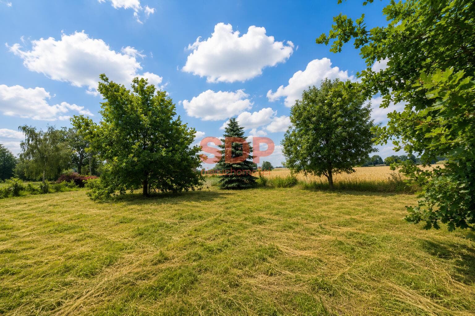 Photo de propriété