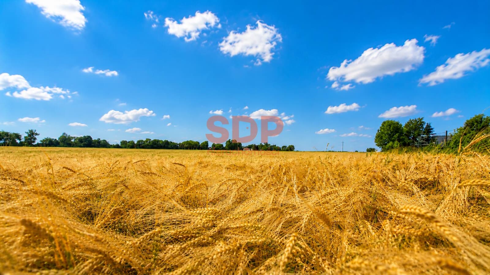 Photo de propriété