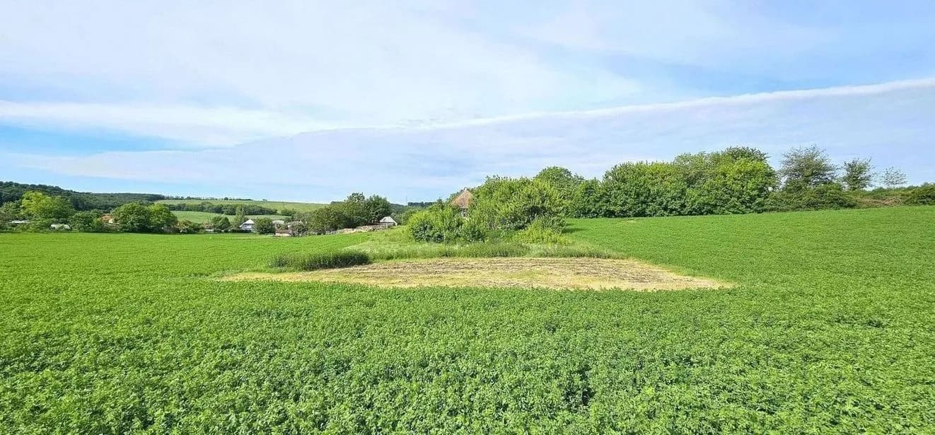 PNORF – 3i RD na polosamote, letná kuchyňa, dielňa, 2x pivnica, pozemok 1100 m2, D. Trhovište - Bild 17