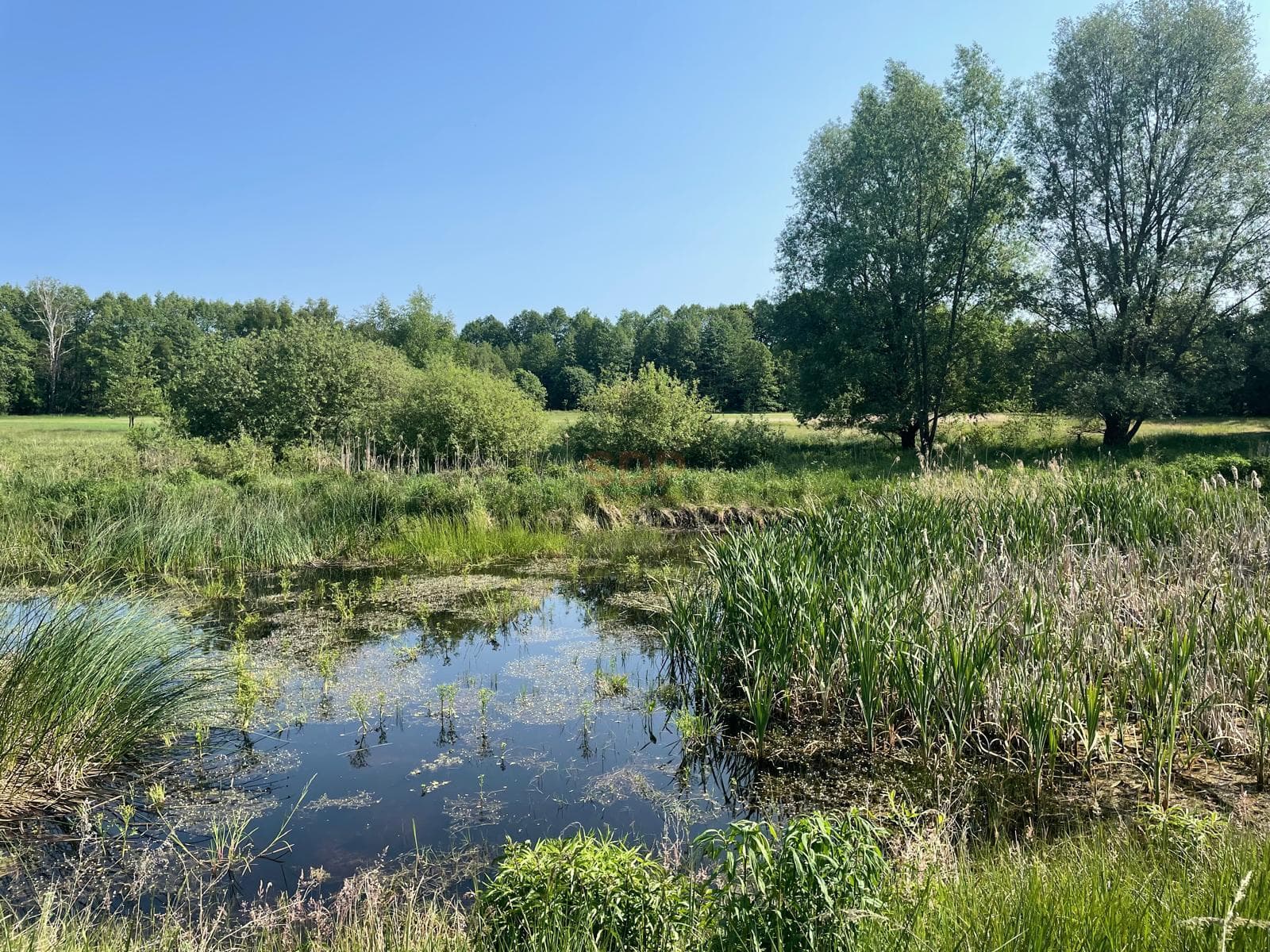 Photo de propriété