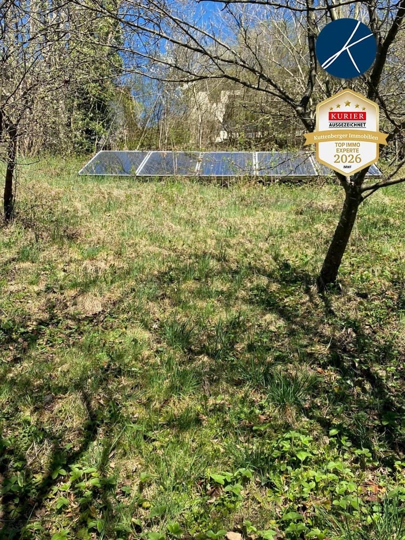 Immobilienfoto