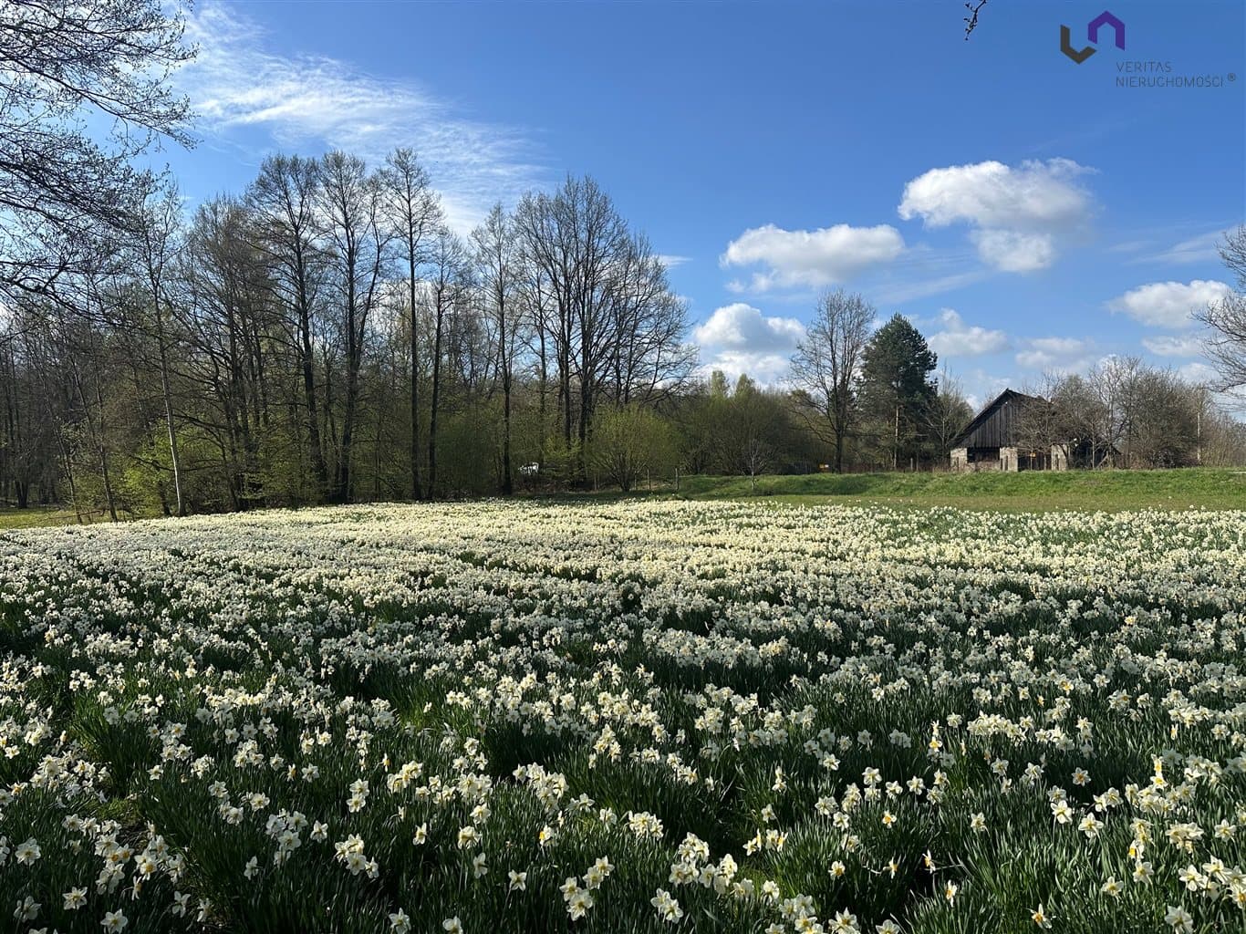 Fotografie nemovitosti
