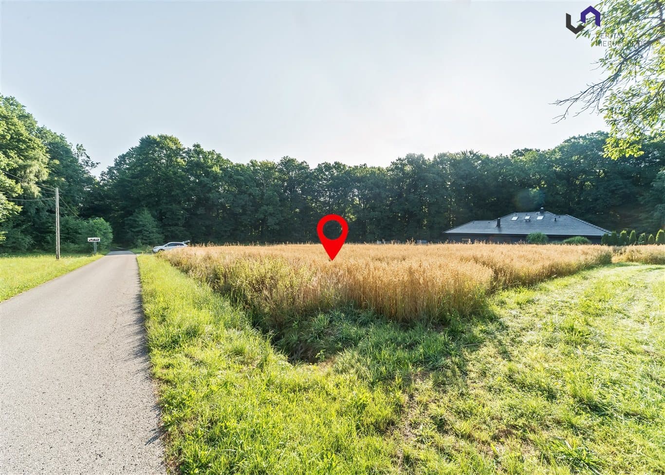 Immobilienfoto