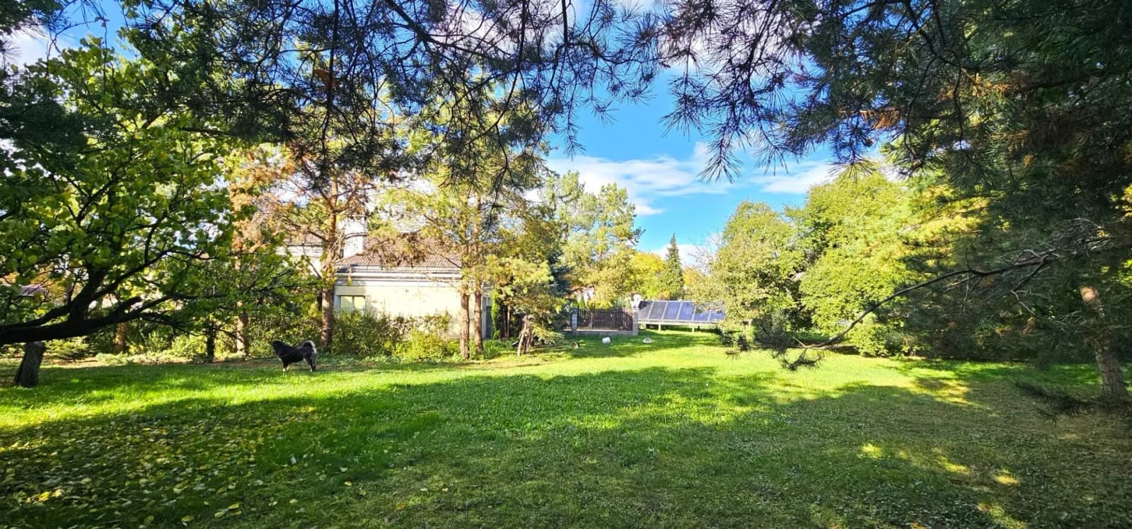 Exkluzívne PNORF – st. pozemok, 467 m2, šírka 21 m, 189,-€/m2, Bohdanovce nad Trnavou - Bild 2