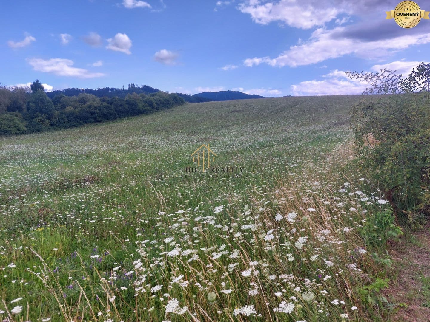 HD REALITY, na predaj pozemok v obci Belá-Dulice. – bilde 1