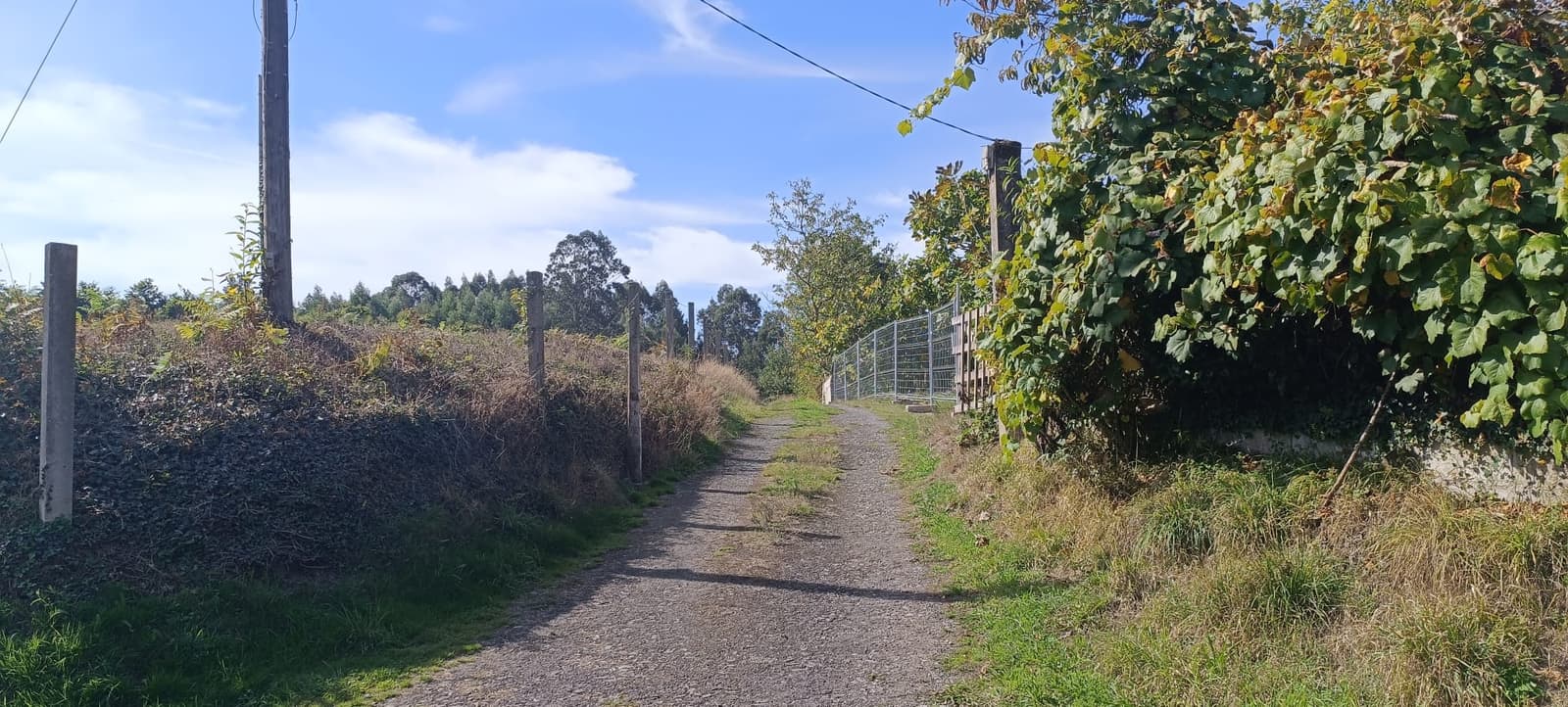 En venta parcela urbana en Abegondo , a 15 minutos de A Coruña. - Obrázek 21