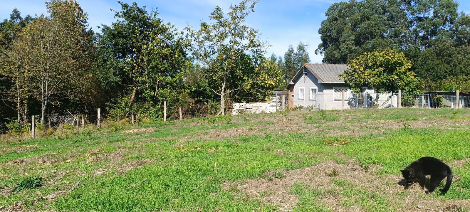 En venta parcela urbana en Abegondo , a 15 minutos de A Coruña. - Obrázek 18