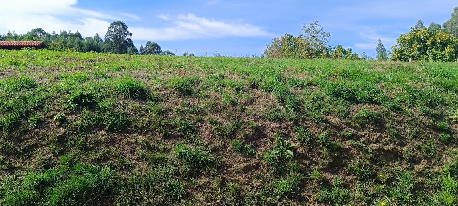 En venta parcela urbana en Abegondo , a 15 minutos de A Coruña. - Obrázek 20