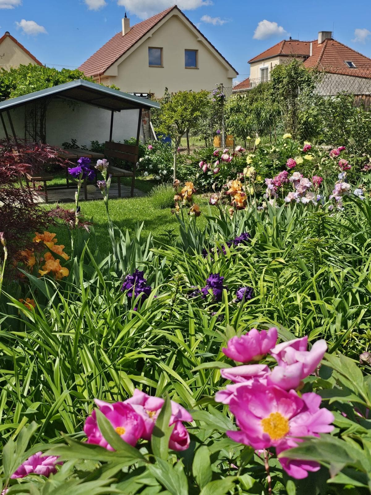 Fotografie nemovitosti
