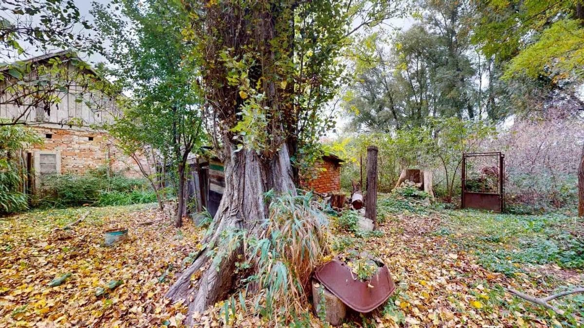 Fotografie nemovitosti
