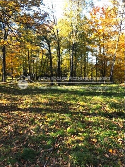 Działka, Jaworze