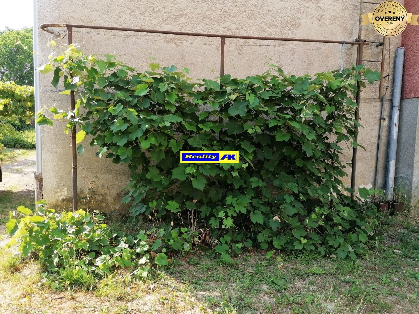 Fotografie nemovitosti