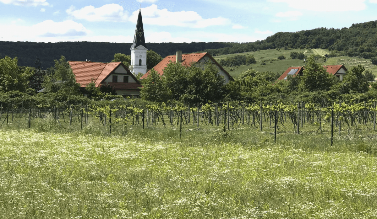 Zdjęcie nieruchomości